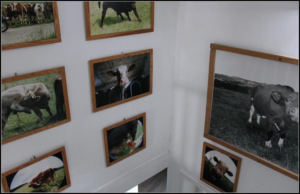 Hotel Artfarm Wiehl Luaran gambar